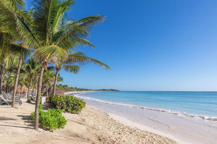 Imagen - PROMO PALLADIUM - PLAYA DEL CARMEN