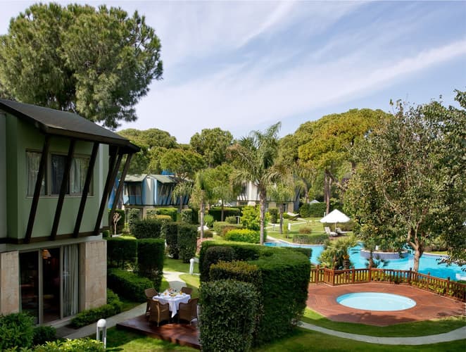 Immagine - 14N Gloria Verde + 7GF