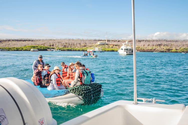 صورة - 6-Day Galapagos Escape: Volcano Trails & Wildlife Encounters, French-speaking guide