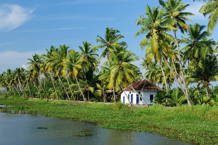 Imagem - Discover the South of India, French-speaking guide