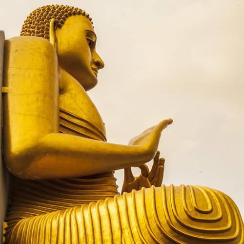 Imagem - Sri Lanka in a Nutshell