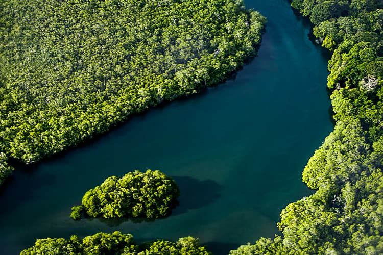 Imagen - Costa Rica Esencial con la extensión al Guanacaste, Tamarindo y San Jose