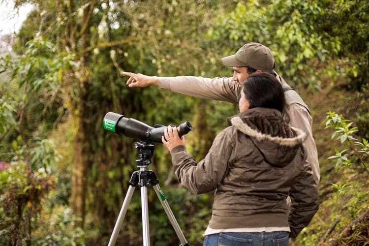 Image - Costa Rica Birdwatching (On Request)