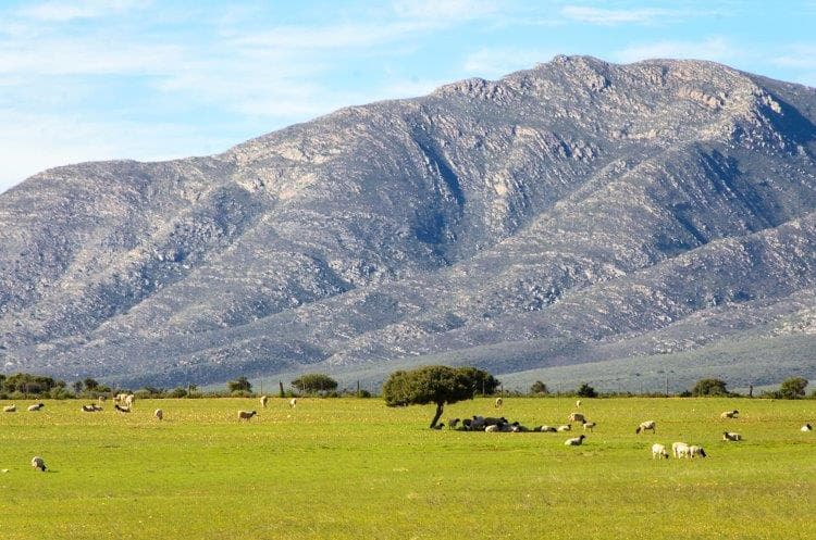 Image - Cape Town, Kruger and Garden Route