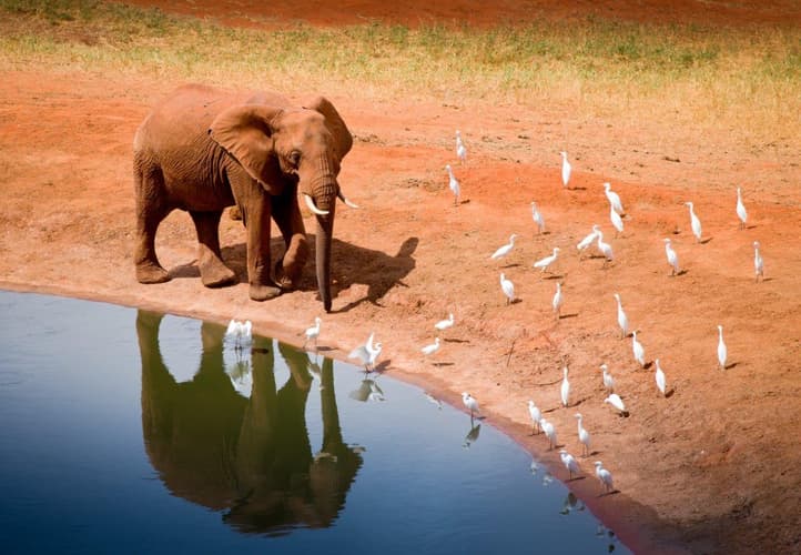 Imagen - Tour privado del Kilimanjaro a Mombasa