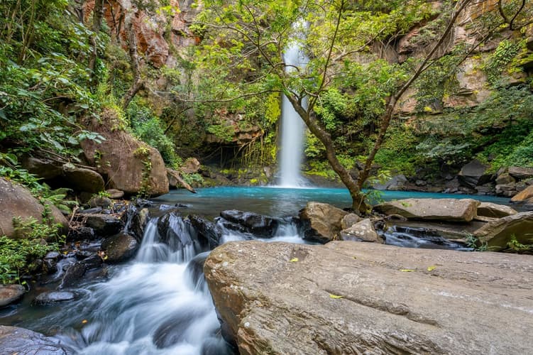 Image - Parques Nacionais da Costa Rica com Guanacaste — Visita Regular