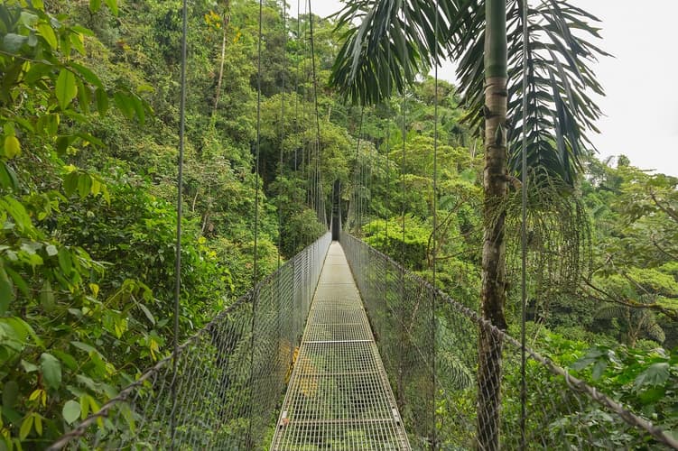 Image - Super ahorro | Costa Rica Esencial Plus con extensión a Manuel Antonio, 10 días 