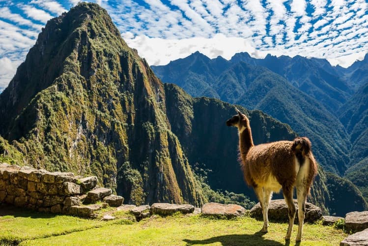 Imagen - Lo mejor de Perú 