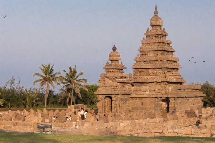 Image - Discover the South of India, French-speaking guide