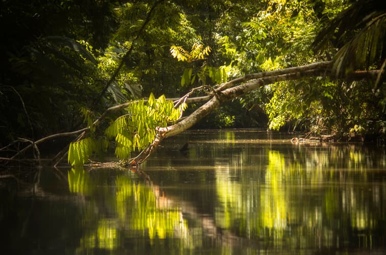 Beeld - The Best of Costa Rica