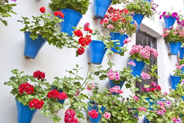 Imagen - El sentir andaluz