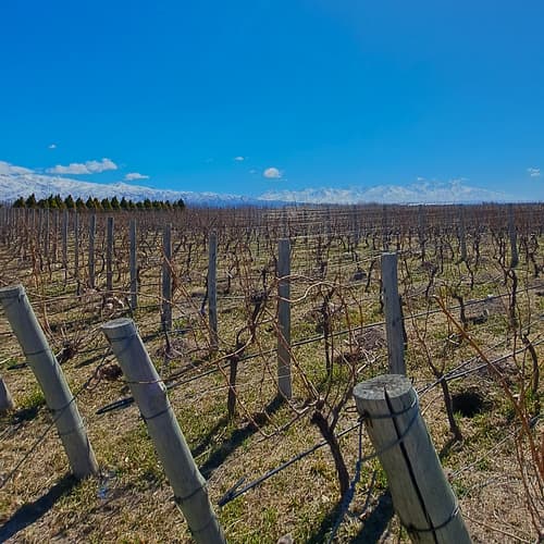 画像 - 4-Day Mendoza Wine Region Experience