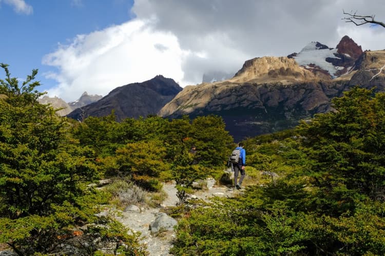 Immagine - 4-Day El Chaltén, the Heart of Patagonia, French-speaking guide