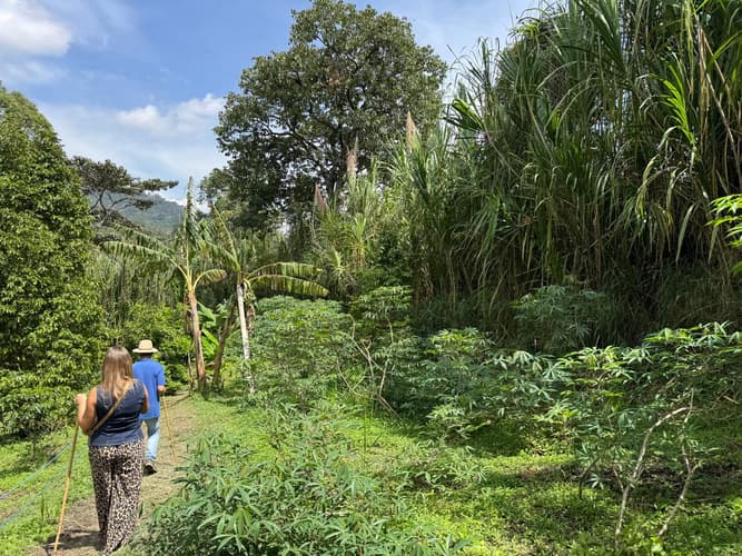 Образ - 6-Day Medellín Coffee Experience, Private Tour
