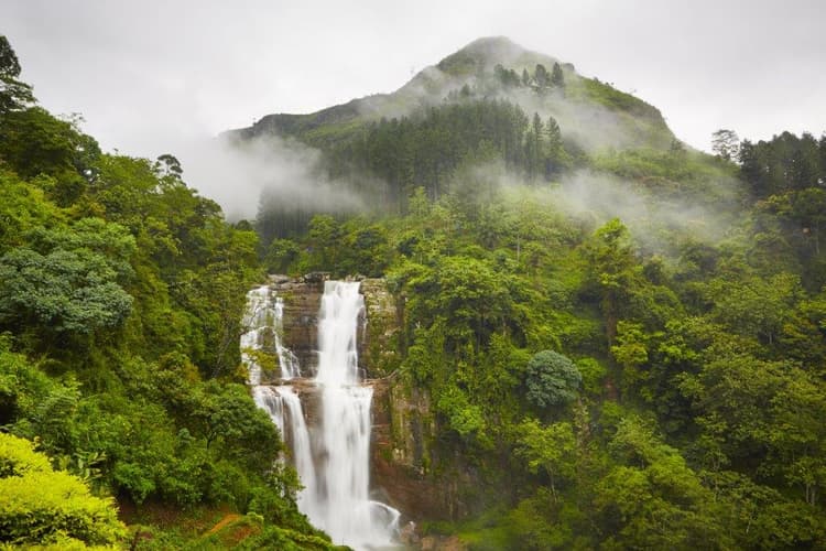Imagen - Paraíso de las Aves en Sri Lanka, Tour Privado