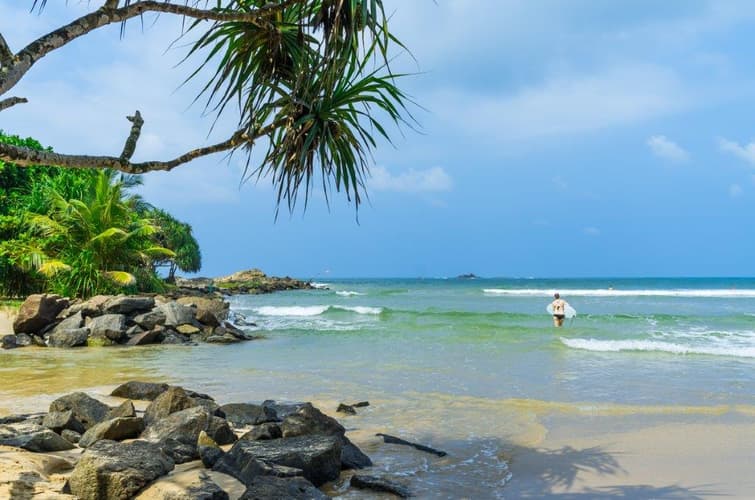 Imagen - Las joyas del Sur de Sri Lanka: Costa, Cultura y Vida Silvestre, Tour Privado