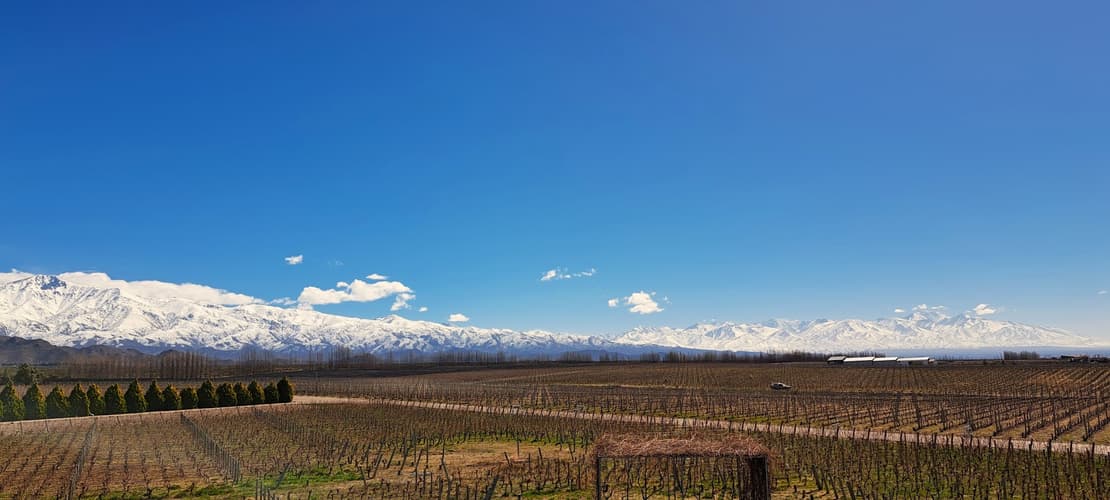 画像 - 4-Day Mendoza Wine Region Experience, French-speaking guide