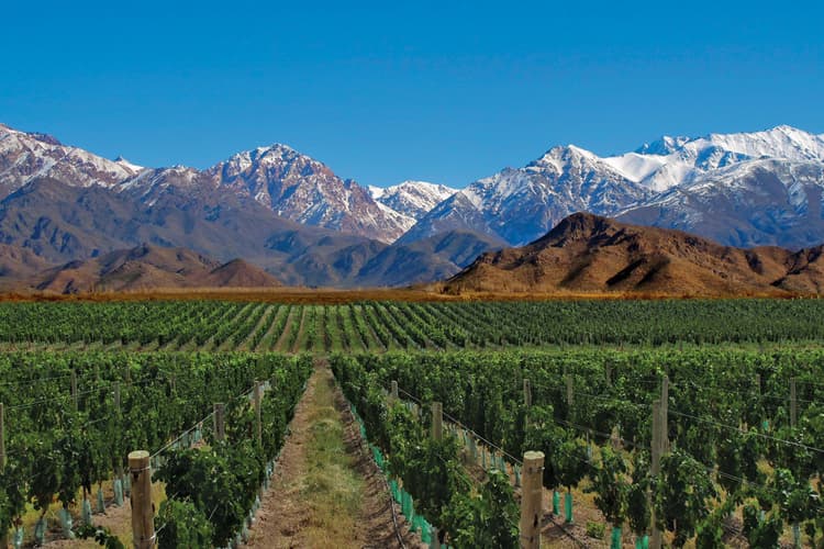 Image - 7-Day Buenos Aires & Mendoza Experience
