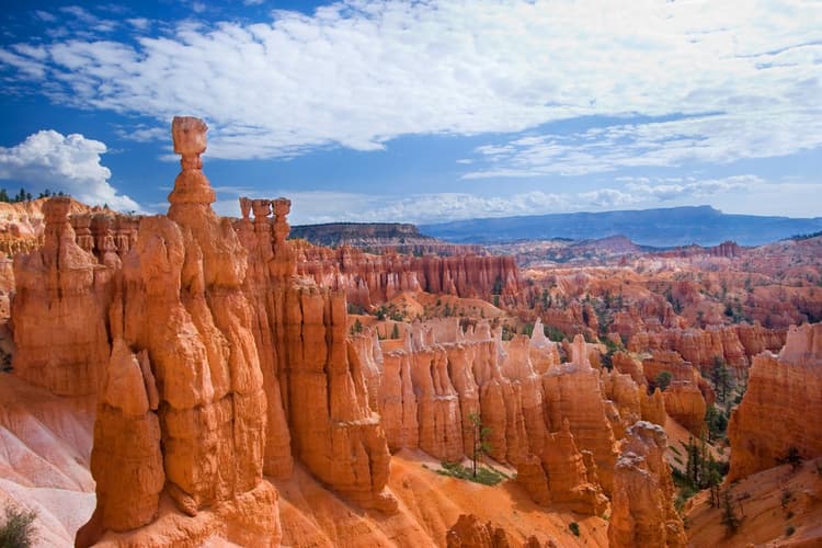 Immagine - Nel vecchio west: Grandi Parchi