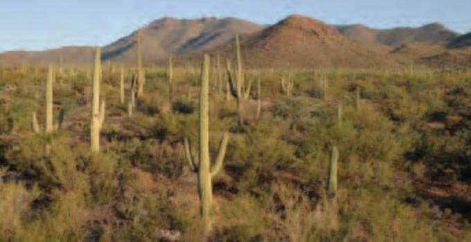 Image - National Park Explorer - Starting in Las Vegas