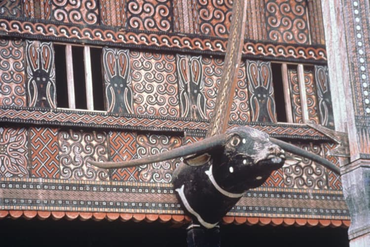 Obraz - Toraja Package