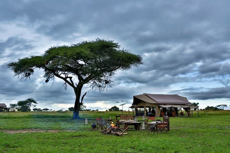 Imagem - Wonders of Kenya and Tanzania