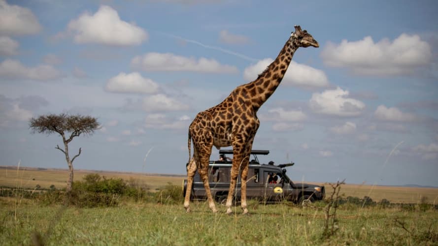 Imagen - Mundo Masái