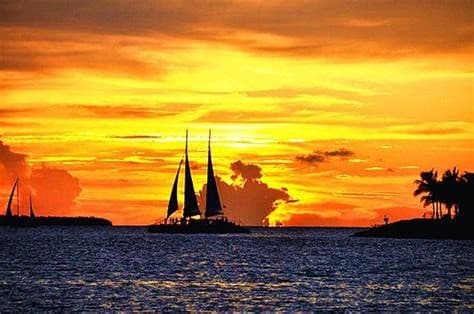 Image - Florida Sunshine