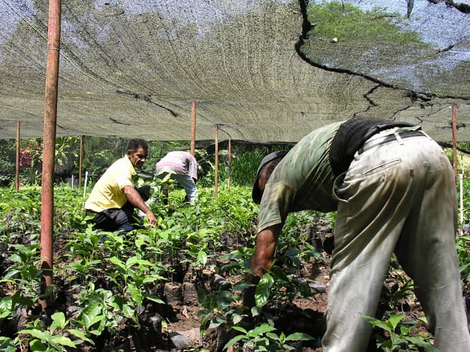 Image - Highlights Dominican Republic