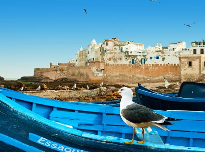 Obraz - Alla scoperta del Marocco da Tangier