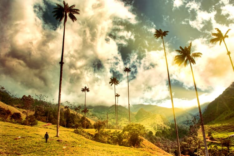 Bild - Colombia Classica