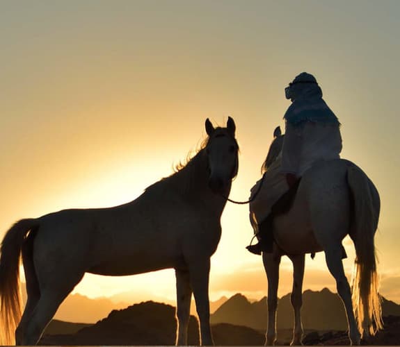 Immagine - Egitto: Alla scoperta del deserto orientale