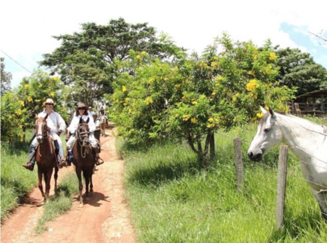Image - Brasil - Rio/Sao Paulo: Plantation Ride
