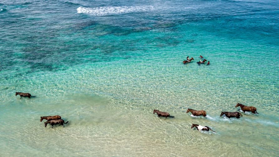 Image - Indonesia: The warrior spirit of the people who revere horses.