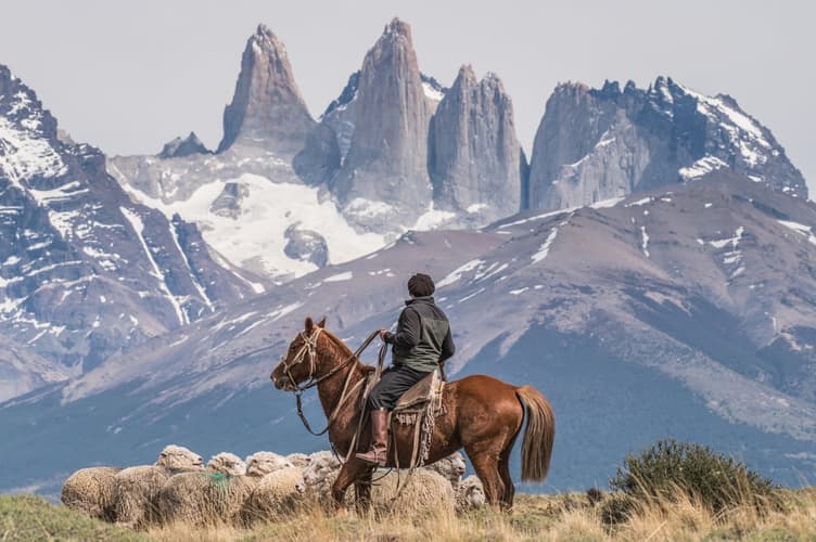 Imagen - Chile: Patagonia - the torres del paine national park