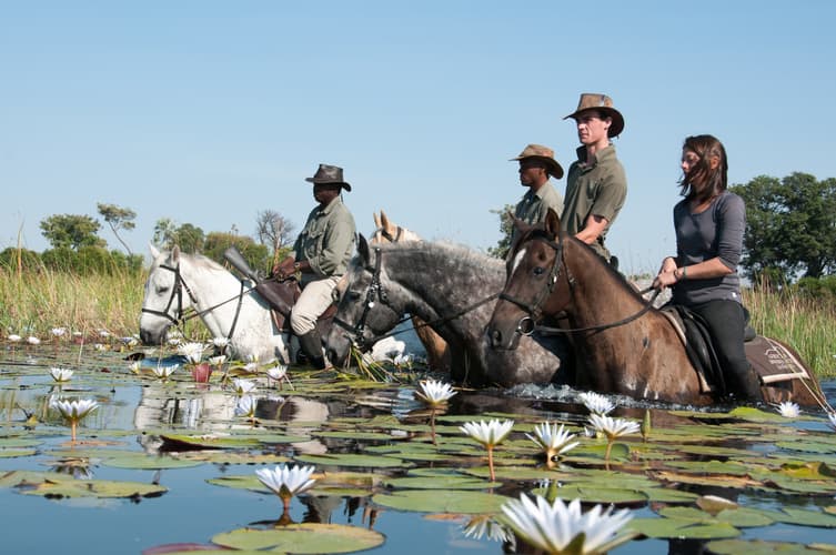 Image - Botswana: Safari in the Okavango Delta