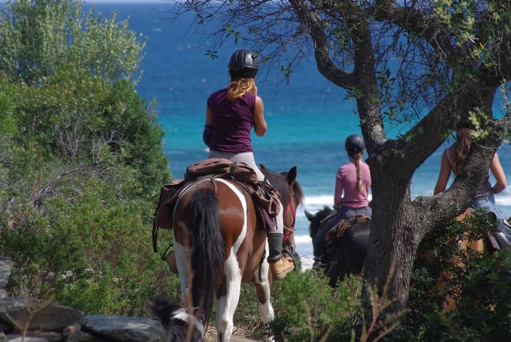 Immagine - Francia: Corsica - tra mare & montagna