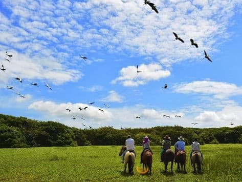 Image - Colombia: Orinoquia natural reserve