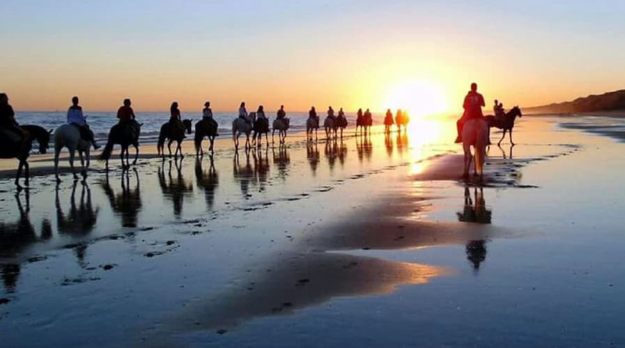 Image - Spain: Andalusia - the Donana national park and El Rocio