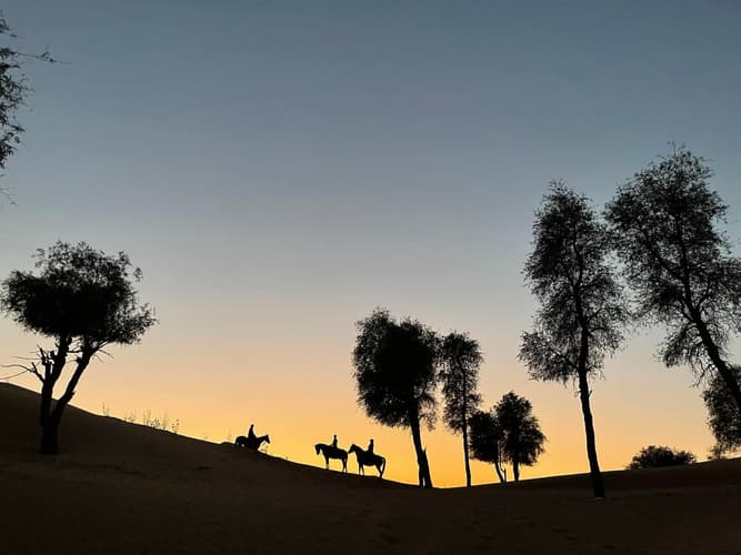 Immagine - A cavallo a Dubai: il primo tra gli Emirati