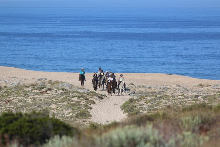 Immagine - Portogallo: Alentejo - la costa dei delfini