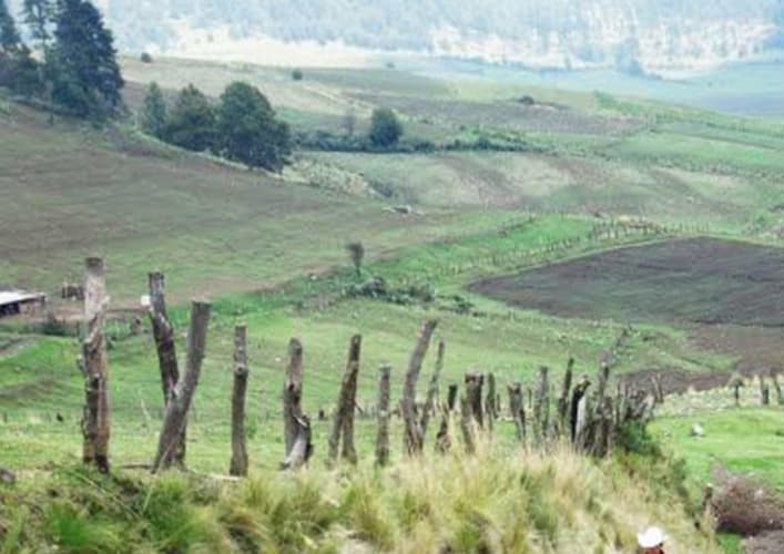 Immagine - Messico centrale: il parco naturale di Ajusco
