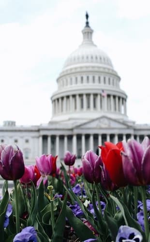 Imagen - Escapada de 3 días: Nueva York y Washington DC desde Nueva York