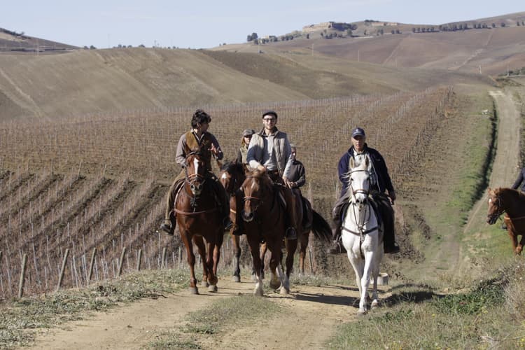 Image - Italy: Sicily - the wine route