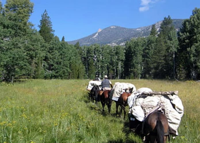 Immagine - Stati Uniti: California - spedizione nello Yosemite Park