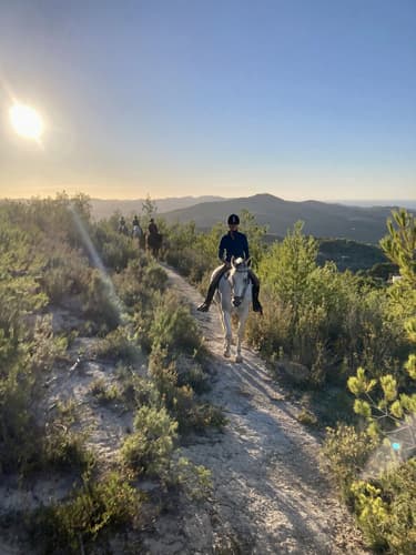 Image - Spain: Ibiza - the “white island” between yoga & horses