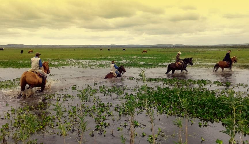 Immagine - Uruguay: le terre selvagge dei Criollos