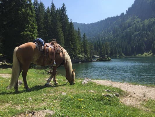 Immagine - Italia, Trentino: Il lago di Nambino