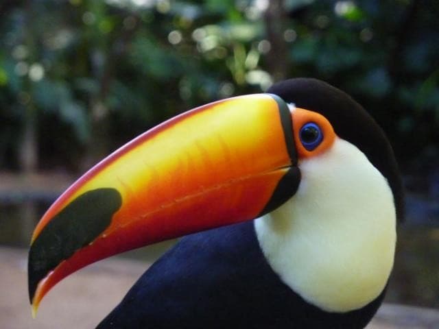 Image - Argentina para Armar + Extensión Salta