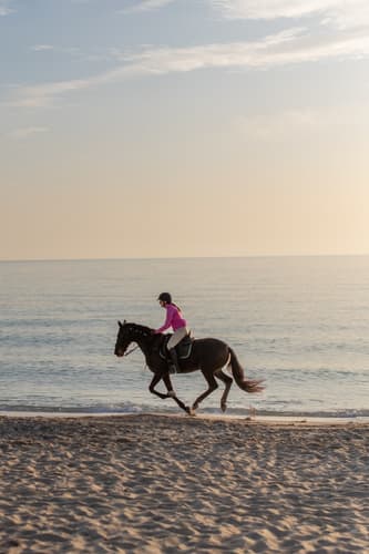 Image - Formentera: the “isla bonita” between yoga & horses